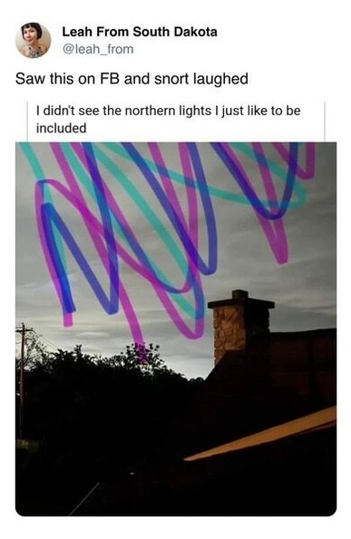 Social media post: "I didn't see the northern lights, I just like to be included", with a picture of the dusk sky, with wavy blue, purple and green line digitally finger-painted on it